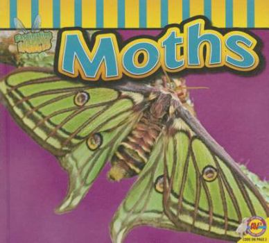 Moths - Book  of the Fascinating Insects