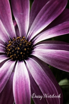 Daisy Notebook: College Ruled African Daisy Journal