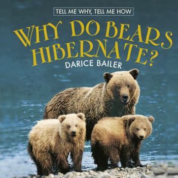 Library Binding Why Do Bears Hibernate? Book