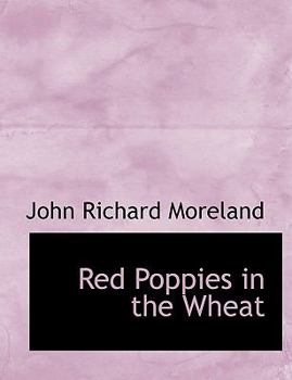 Red Poppies in the Wheat