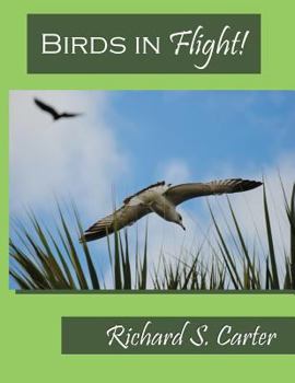 Paperback Birds in Flight! Book