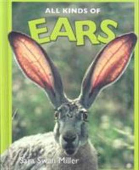 Library Binding All Kinds of Ears Book