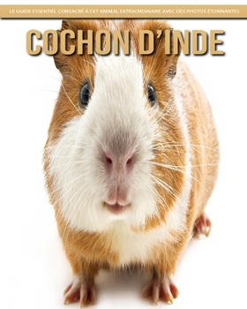 Cochon d’Inde: Le Guide Essentiel Consacré à Cet Animal Extraordinaire avec des Photos Étonnantes