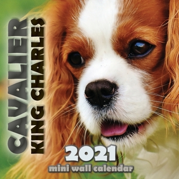 Paperback Cavalier King Charles 2021 Mini Wall Calendar Book