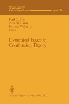 Paperback Dynamical Issues in Combustion Theory Book