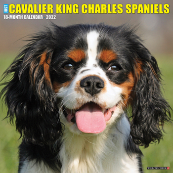 Calendar Just Cavalier King Charles Spaniels 2022 Wall Calendar (Dog Breed) Book