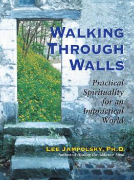 Paperback Walking Through Walls: Practical Spirituality in an Impractical World Book
