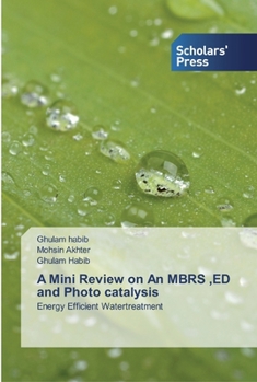 Paperback A Mini Review on An MBRS, ED and Photo catalysis Book