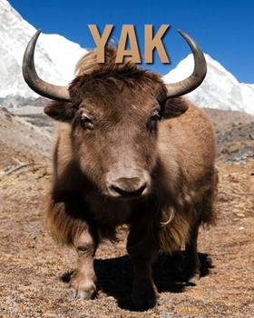 Paperback Yak: Incredible Pictures and Fun Facts about Yak Book