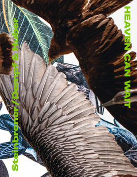 Hardcover Steinbrener/Dempf & Huber: Heaven Can Wait Book