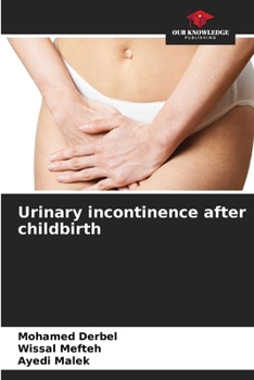 Paperback Urinary incontinence after childbirth Book