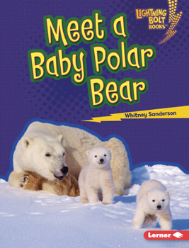 Library Binding Meet a Baby Polar Bear Book