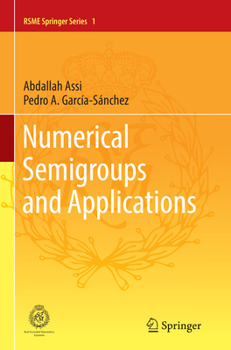 Paperback Numerical Semigroups and Applications Book
