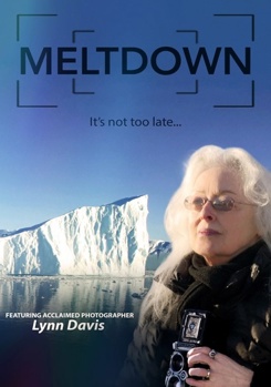 DVD Meltdown Book