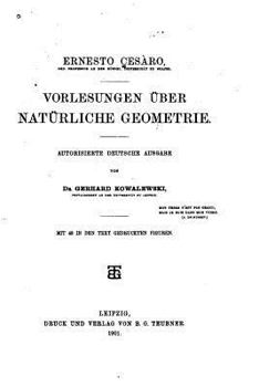 Paperback Vorlesungen über natürliche Geometrie [German] Book