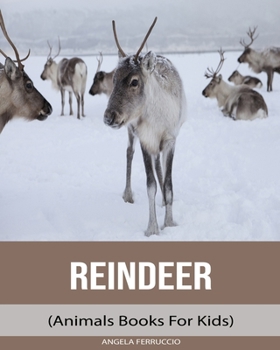 Paperback Reindeer (Animals Books For Kids) Book
