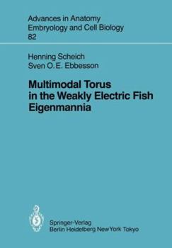 Paperback Multimodal Torus in the Weakly Electric Fish Eigenmannia Book