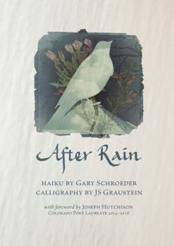 Paperback After Rain Book
