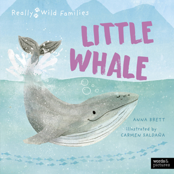 Hardcover Little Whale: A Day in the Life of a Little Whale Book