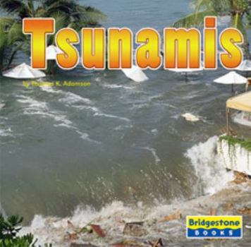 Library Binding Tsunamis Book