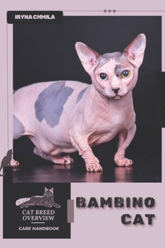 Bambino Cat: Cat breed overview, care handbook