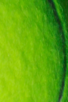 2020 Daily Planner Tennis Player Coach Team Sports Fan 388 Pages: 2020 Planners Calendars Organizers Datebooks Appointment Books Agendas