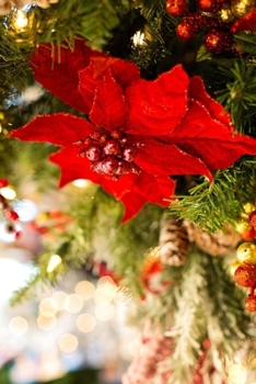 Paperback Christmas tree notebook - achieve your goals, perfect 120 lined pages #2 Book