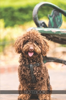 Notebook: Cute long coated brown dog [110 pages]: Cute long coated brown dog