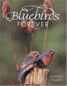 Hardcover Bluebirds Forever Book