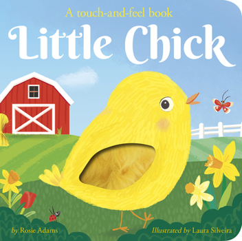 Board book Little Chick Book