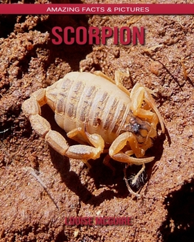 Scorpion: Amazing Facts & Pictures