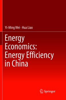 Paperback Energy Economics: Energy Efficiency in China Book