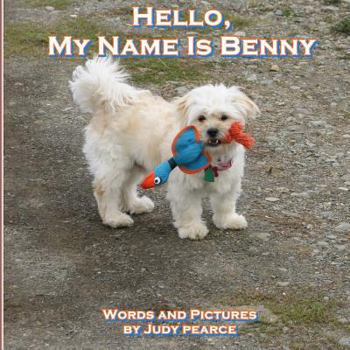 Paperback Hello, My Name Is Benny Book