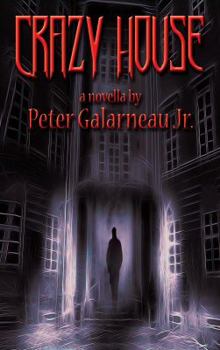 Paperback Crazy House Book
