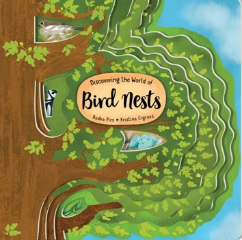 Board book Discovering the World of Bird Nests Book