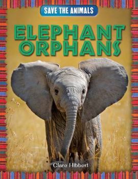Paperback Elephant Orphans Book