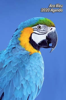 Paperback Ara Bleu 2020 Agenda: Oiseau - 139 Pages - 12 Mois - Format A5 - Agenda - Journalier - Planificateur - Semainier Simple - Calendrier - Organ [French] Book
