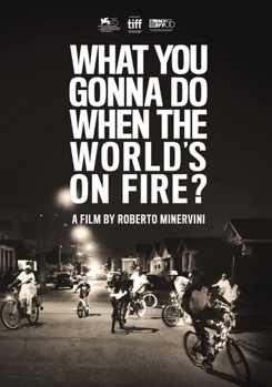 DVD What You Gonna Do When the World's on Fire? Book