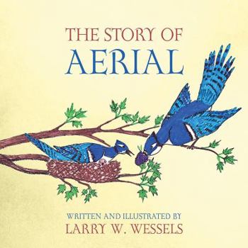 Paperback The Story of Aerial Book