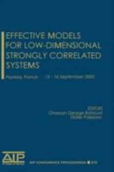 Hardcover Effective Models for Low-Dimensional Strongly Correlated Systems Book