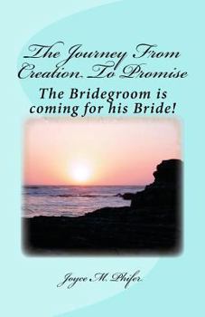 Paperback The Journey from Creation To Promise Book