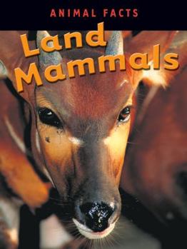 Mamife Teres Yo / Land Mammals (Haitian Creole Hi/Low Library)