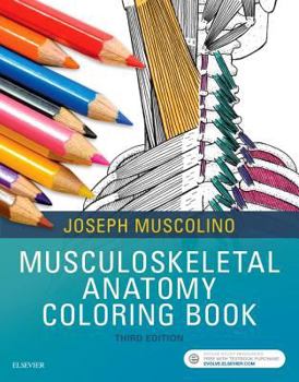 Paperback Musculoskeletal Anatomy Coloring Book
