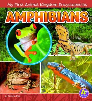 Amphibians - Book  of the My First Animal Kingdom Encyclopedias