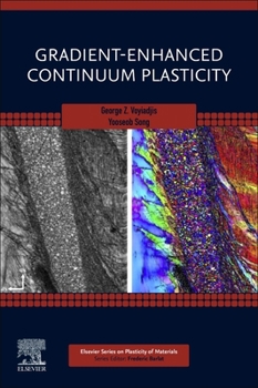 Paperback Gradient-Enhanced Continuum Plasticity Book