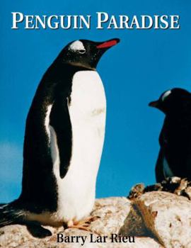 Hardcover Penguin Paradise: Photos & Text Book