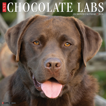 Calendar Chocolate Labs 2026 Wall Calendar Book