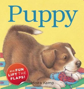 Board book Puppy Book