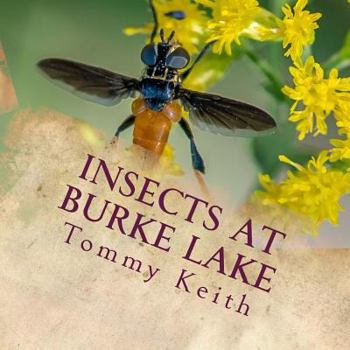 Paperback Insects At Burke Lake: A Picture Book For Children Of All Ages Book