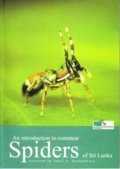 Paperback An Introduction to Common Spiders of Sri Lanka Book